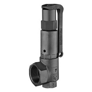 Sicherheitsventil DSV 25-6.0 DGH