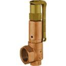 IMI Sicherheitsventil DSV 25-1.0 DGH