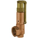 IMI Sicherheitsventil DSV 15-2.0 DGH