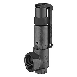 IMI Sicherheitsventil DSV 20-2.0 DGH