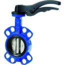 Brandoni Absperrklappe ZFL mit Getriebe PN6-16 DN 65